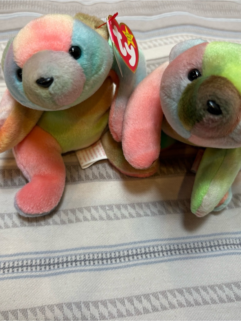 Two Sammy Beanie Babies from 1998 both w tags